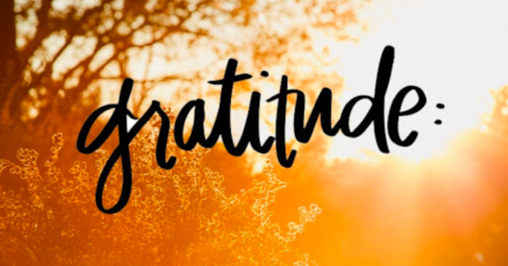 Debt gratitude decrease increased